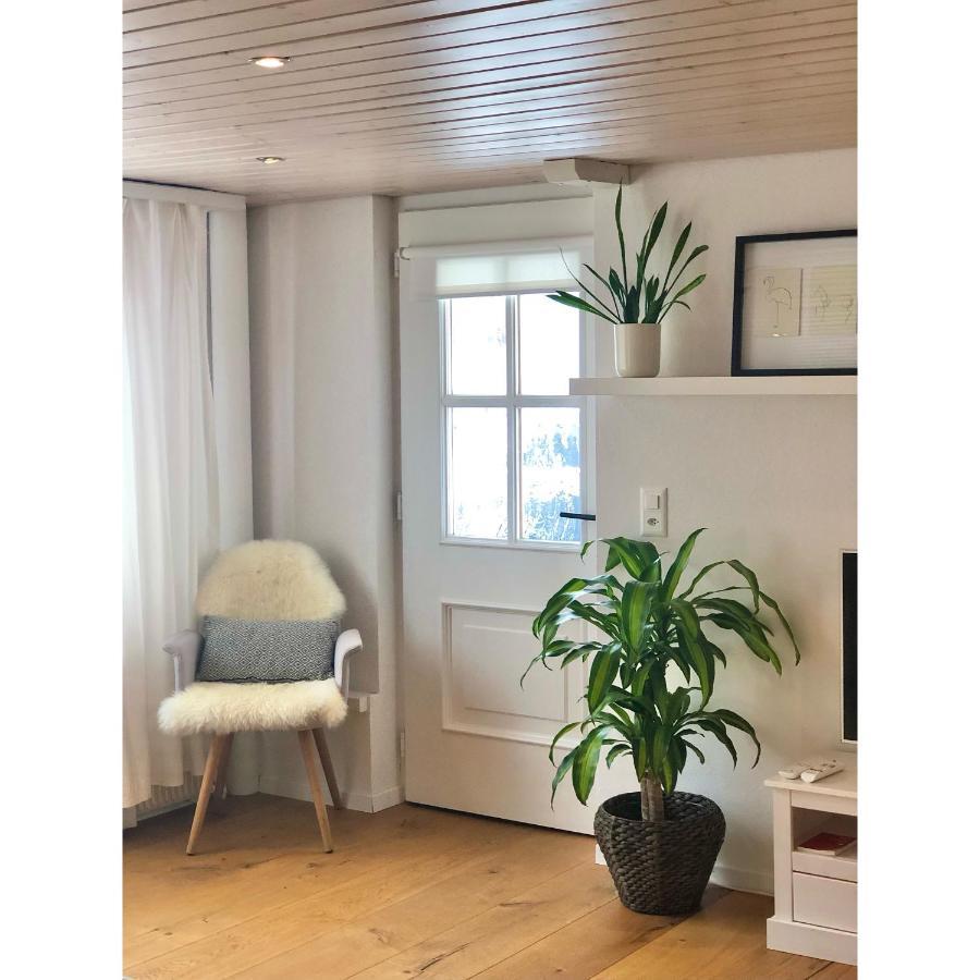 Cozy & Warm Apartment In Oberaegeri Екстериор снимка