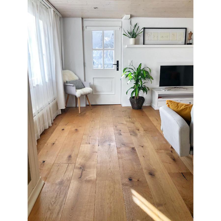 Cozy & Warm Apartment In Oberaegeri Екстериор снимка